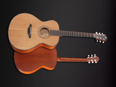 Furch guitar