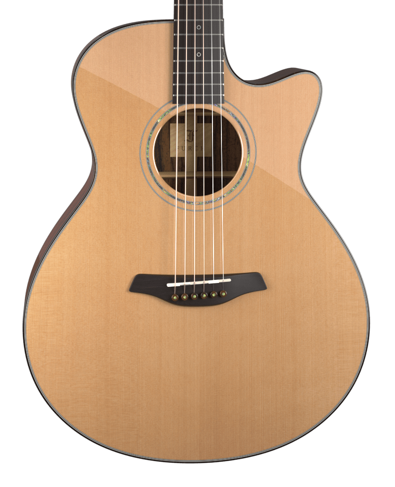 Grand Auditorium s výřezem | Furch