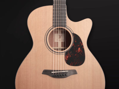 2019 Blue Gc CM SPE MC 9 Furch Guitars