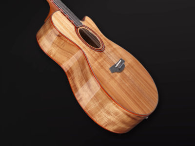 Rainbow Gc KK Furch Guitars