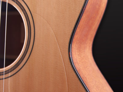 Furch Blue Gc CM SPE 8 Furch Guitars