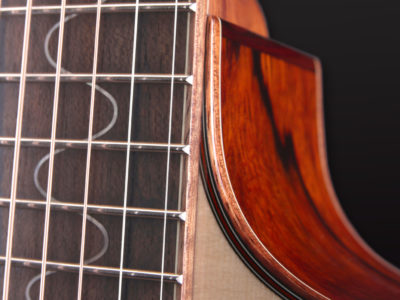 Limited Edition 2019 Furch Guitars