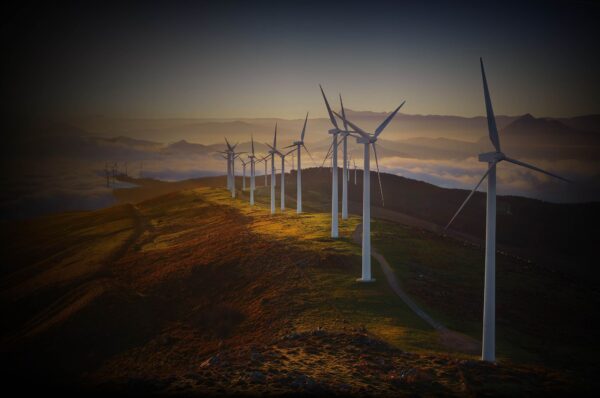 Furch Guitars Renewable Energy